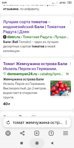 Screenshot_2025-05-10-08-09-01-277_com.yandex.browser.png