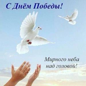 a34c8d3b0507ef353f082628f25fd9f9.thumb.jpg.7c1977f57de59557554d9a2728d73e7a.jpg