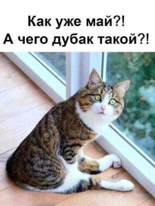 a6dbacac26fa0db9f1b259085a4a0561.jpg