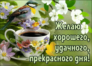 aa6c26da-a38b-4bb8-ab5c-7e0e396fe2bc.png