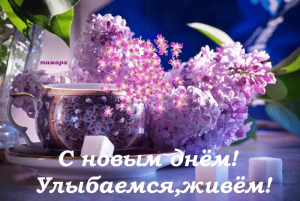 b6f36bba-837f-43fa-b7bb-d5e12864ee9c.png