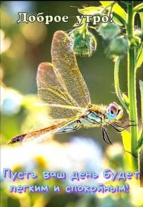 ba06d93a145d592f373d9b7841fa5f0f.jpg