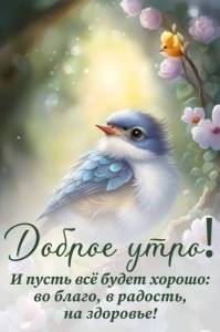 c2a548f875c7b678dfcd98c409c3d999.jpg