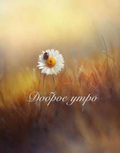 ca9e83ab9c67b01e5eda10091b2bdd58.jpg