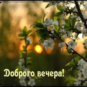 d4fa3d7ed5551d5564ca3d3d1a350227.thumb.jpg.b65a262af0e767fb04936970be8746a5.jpg