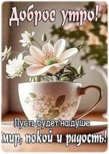 dobroe-utro.thumb.jpg.9164d6071e0c7f2988f697d3ab4dfac5.jpg