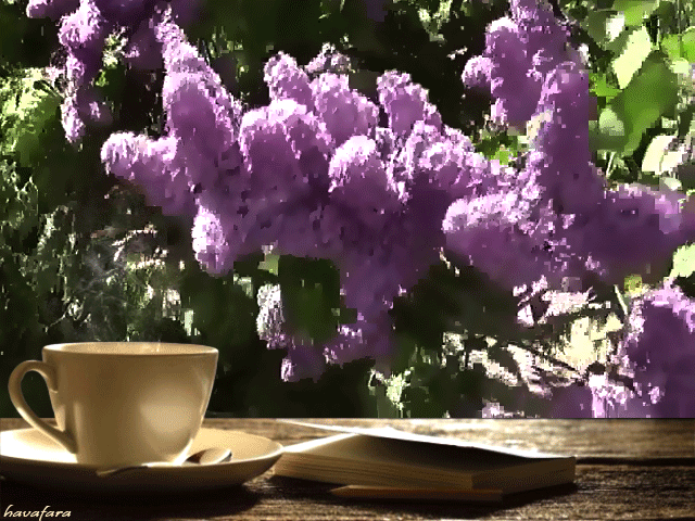 e207b0dbb9ed90e7a3e6bf58e9162fe8.gif