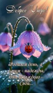 ec2039206e8b0b84e35245d2744e6462.jpg