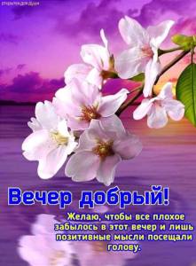 fe82d1165acbd10418aa04e5c399042d.jpg