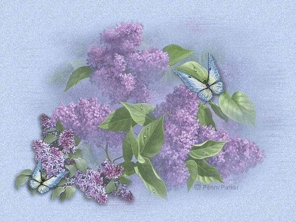 ff34a22031aaacfa83dbd43eb1691af1.gif