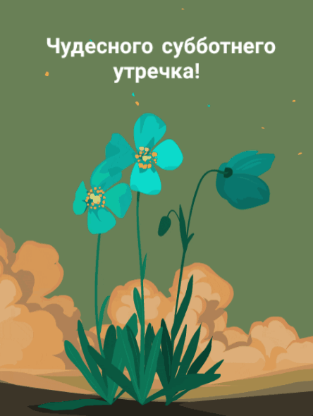 gifkin_ru_1760.gif