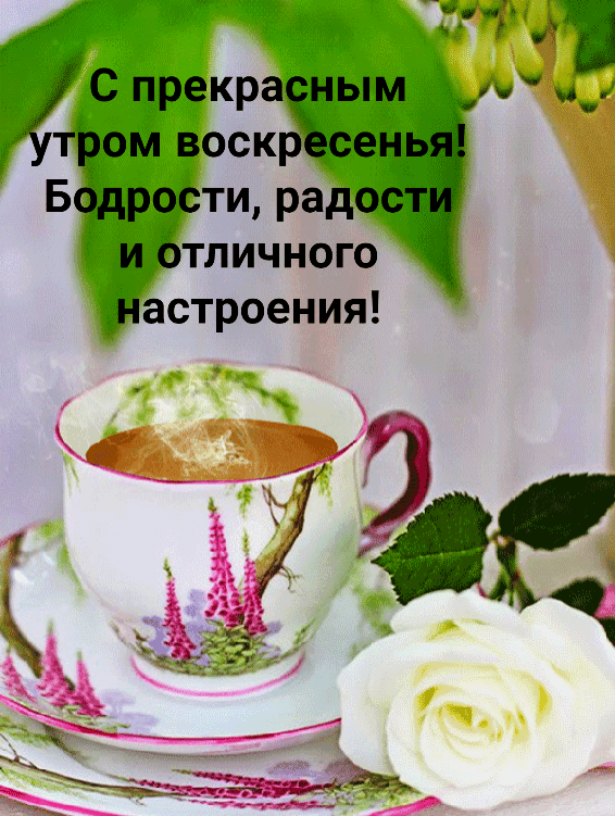 gifkin_ru_1822.gif