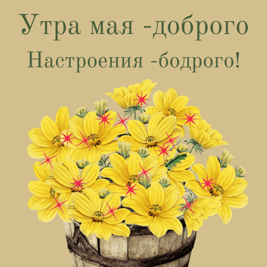 gifkin_ru_4286.gif