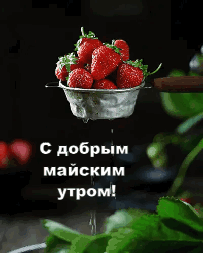 gifkin_ru_4294.gif