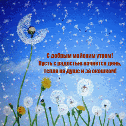 gifkin_ru_4295.gif
