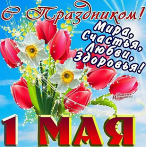image.thumb.png.1247d14fef26df5fbc95ec5f23da5b93.png