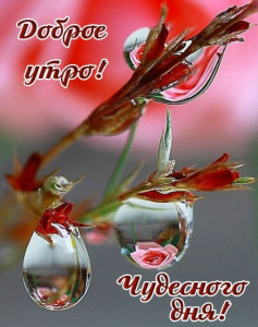 image.thumb.png.2fb654f990986e2f18cb91e480584f10.png