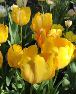 image.thumb.png.33bee89fa86012220691d0ebc89eaa5b.png