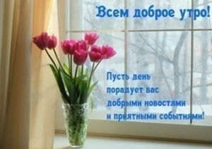 image.thumb.png.358f08dc318ab4c63eea766c2c06c72f.png