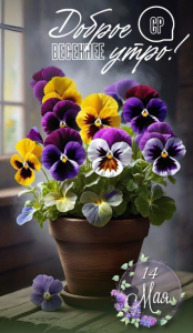 image.thumb.png.4063d7f93b7c8d5bf0b2e936a1389ef8.png