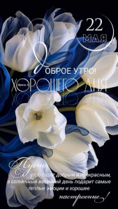 image.thumb.png.4096ef92d02c878923f21085cf9b2c98.png