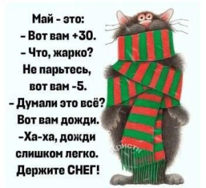 image.thumb.png.7f092f3439658bc952224dd5be14292c.png