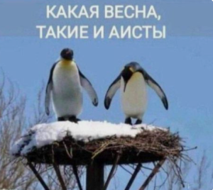 image.thumb.png.94bb84903e3a90672e46d2598b1f24d7.png