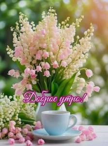 image.thumb.png.9a2cd79156b14ffd43a23437695a768d.png