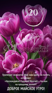 image.thumb.png.9ecb317cfd4aa22706bd19ecf5f847a8.png