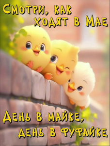 image.thumb.png.c138d156dde84c68d0d933d91b7af5e0.png