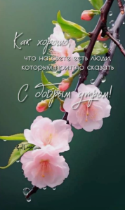 image.thumb.png.c65c9ddd9716e633e2cba75d7bf6a243.png