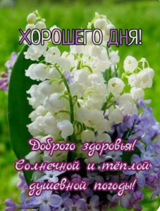 image.thumb.png.d6e789daa3a0ce63009820b7cd00bb61.png