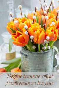 imagename_ru_31496.thumb.png.0c0329a70eea6929aabb1374a9e3cc1e.png