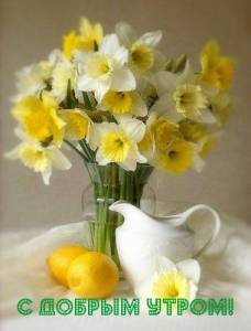 images_13733.thumb.jpg.4350cc833a88bd22b587cafb4173b2a6.jpg
