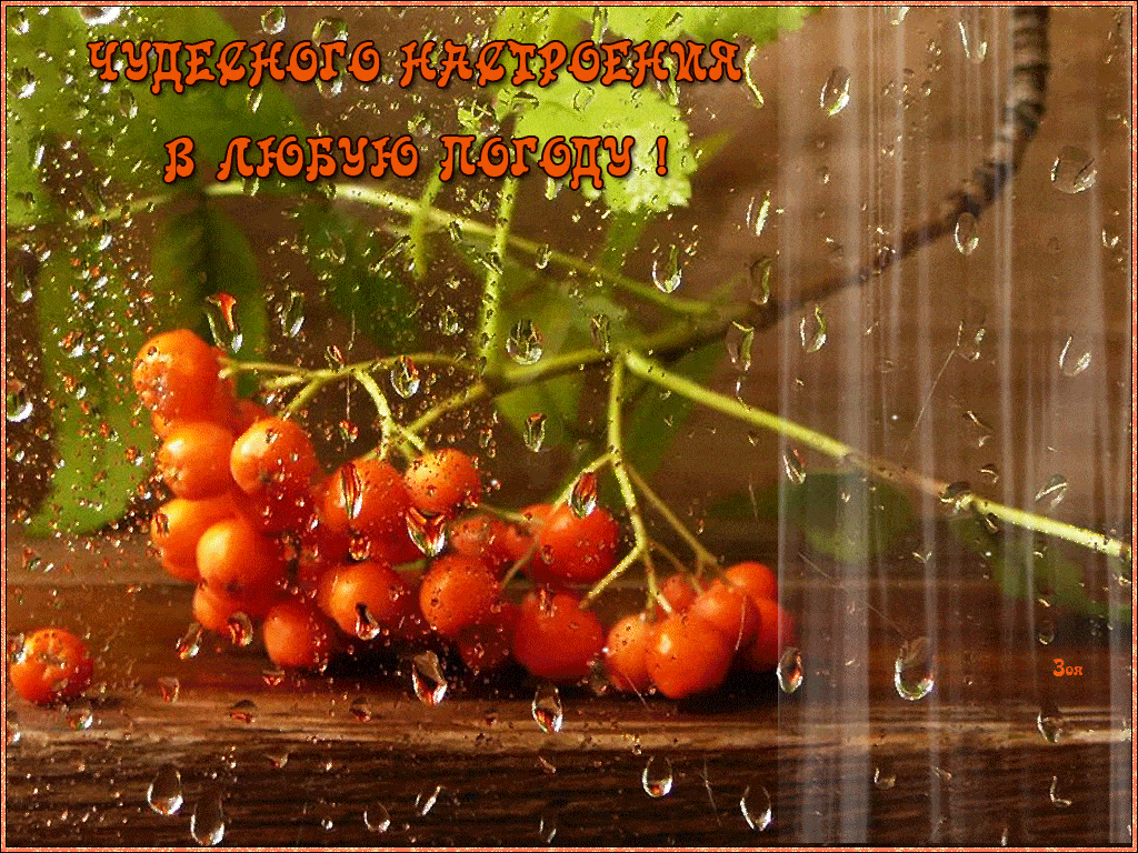 iuzgz.thumb.gif.3dc43851b522eb92f61c7049ffcf544a.gif