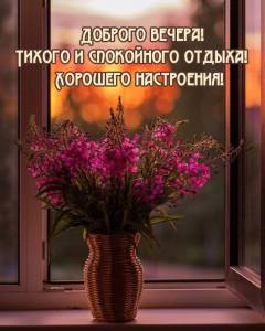 rupix_ru_10441.jpg