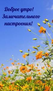 rupix_ru_319.jpg