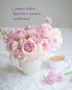 rupix_ru_491.jpg
