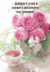 rupix_ru_6752.jpg