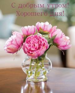 rupix_ru_772.jpg