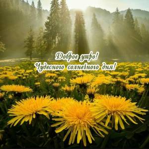 utradobrogo_ru_1514.jpg