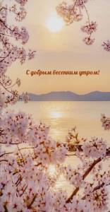 utradobrogo_ru_946.jpg
