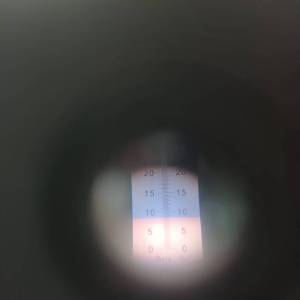 11832d51-a3b9-4506-a054-26861dd0625c.jpeg