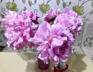 11DAE405-38CA-4925-920D-A96D52A32883.jpeg