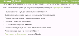 'этапы подкормки голубики.png
