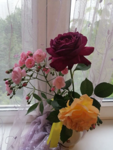 15c530ff-6f3d-4be6-aa31-eb932106559e.png
