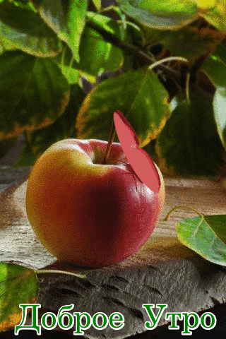 17031312faac50b8431528f732a5b41a.gif