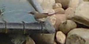 2.thumb.JPG.6571ddce1a8aefe45498d4f0c017cb62.JPG