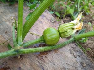 2013400430_12025-06-25.thumb.jpg.66319c8b5884ce6f45cdcbbe2411973e.jpg