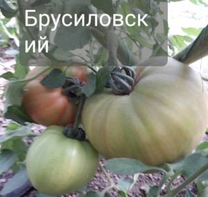 20250606_160037.jpg